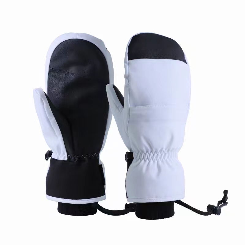 Waterproof Windproof Winter Warm Snow Fashion Ski Gloves For Snowboarding For Adults